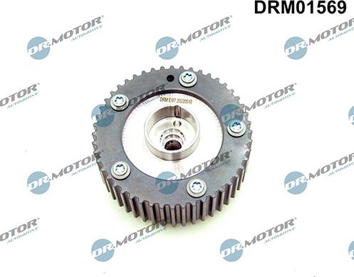 Lizarte DRM01569 - Dispositif de réglage électrique d'arbre à cames cwaw.fr