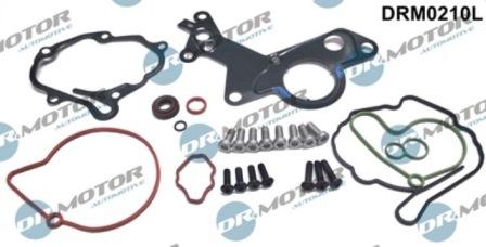 Lizarte DRM0210L - Kit de réparation, pompe à vide (freinage) cwaw.fr