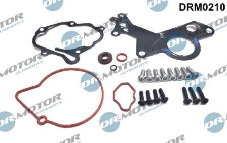 Lizarte DRM0210 - Kit de réparation, pompe à vide (freinage) cwaw.fr