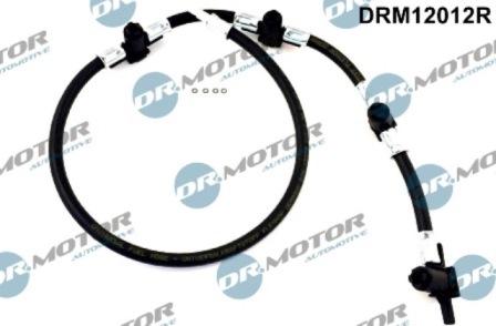 Lizarte DRM12012R - Tuyau, carburant de fuite cwaw.fr