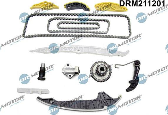 Lizarte DRM211201 - Kit de distribution par chaîne cwaw.fr