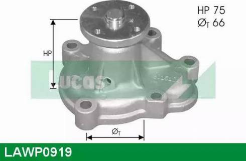 Lucas Engine Drive LAWP0919 - Pompe à eau cwaw.fr