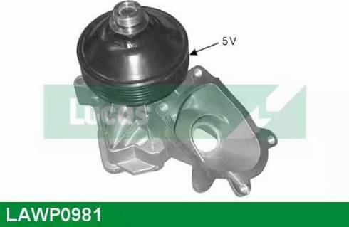 Lucas Engine Drive LAWP0981 - Pompe à eau cwaw.fr