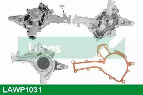 Lucas Engine Drive LAWP1031 - Pompe à eau cwaw.fr