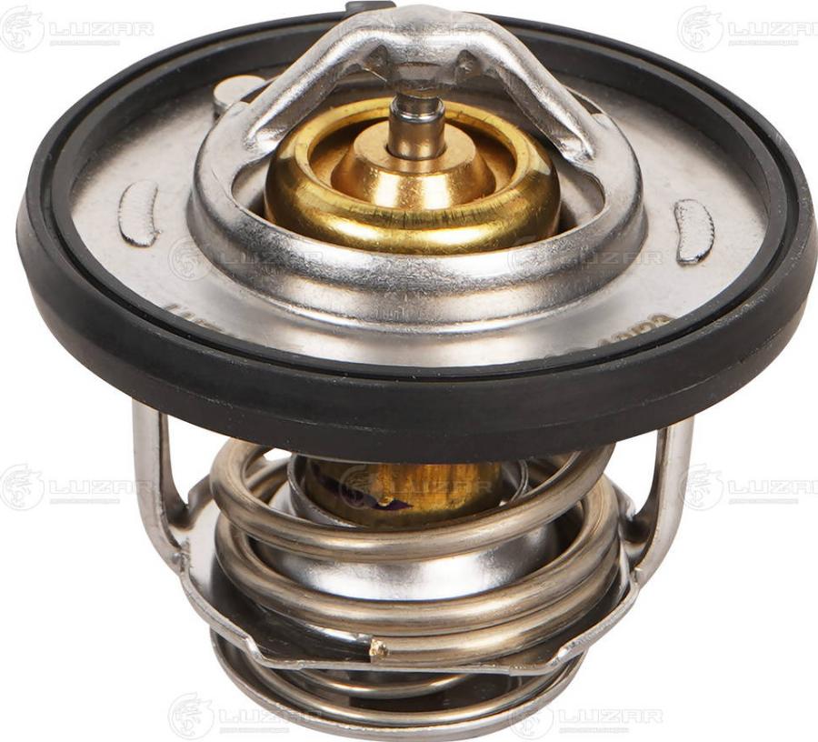 Luzar LT 0349 - Thermostat d'eau cwaw.fr