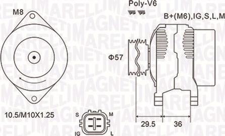 Magneti Marelli 063732102010 - Alternateur cwaw.fr