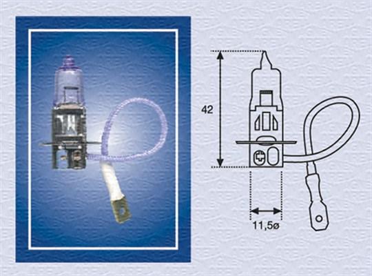 Magneti Marelli 002554100000 - Ampoule, projecteur antibrouillard cwaw.fr