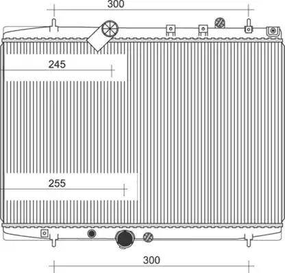 Magneti Marelli 350213987000 - Radiateur, refroidissement du moteur cwaw.fr