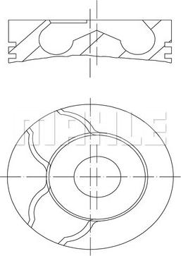 MAHLE 038 34 00 - Piston cwaw.fr