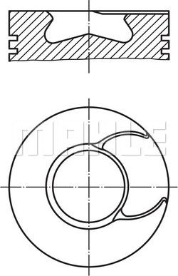 MAHLE 213 67 00 - Piston cwaw.fr