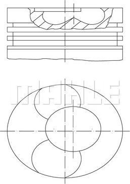 MAHLE 229 07 00 - Piston cwaw.fr