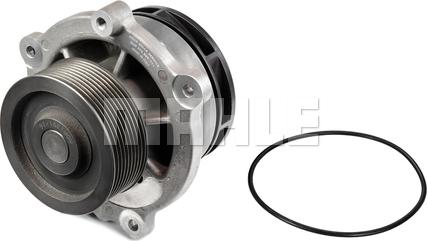 MAHLE CP 447 000P - Pompe à eau cwaw.fr