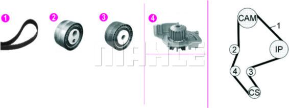 MAHLE CPK 135 000P - Pompe à eau + kit de courroie de distribution cwaw.fr