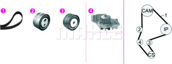 MAHLE CPK 128 000P - Pompe à eau + kit de courroie de distribution cwaw.fr