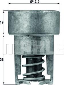 MAHLE TX 98 82 - Thermostat d'eau cwaw.fr