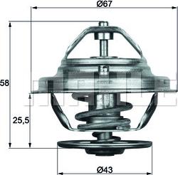 MAHLE TX 19 75D - Thermostat d'eau cwaw.fr