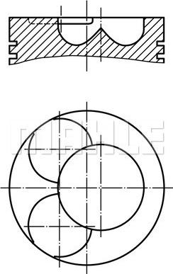 MAHLE 227 33 01 - Piston cwaw.fr