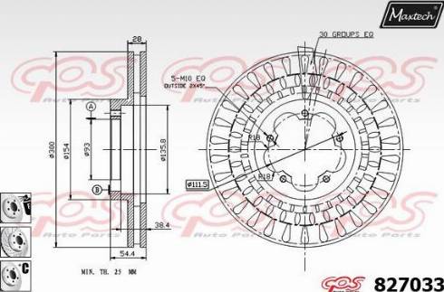 Maxtech 827033.6880 - Disque de frein cwaw.fr