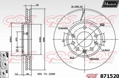 Maxtech 871520.6880 - Disque de frein cwaw.fr