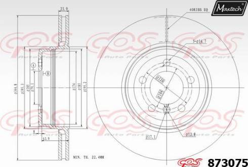 Maxtech 873075.0000 - Disque de frein cwaw.fr