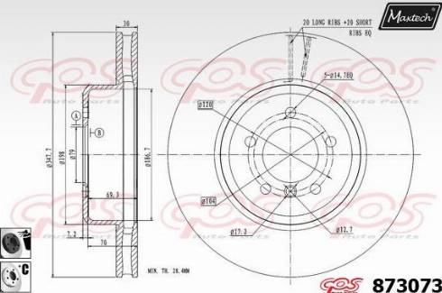 Maxtech 873073.6060 - Disque de frein cwaw.fr