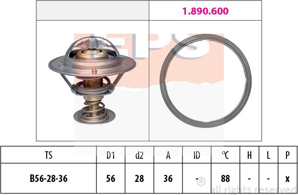 MDR EPS-1880 948 - Thermostat d'eau cwaw.fr