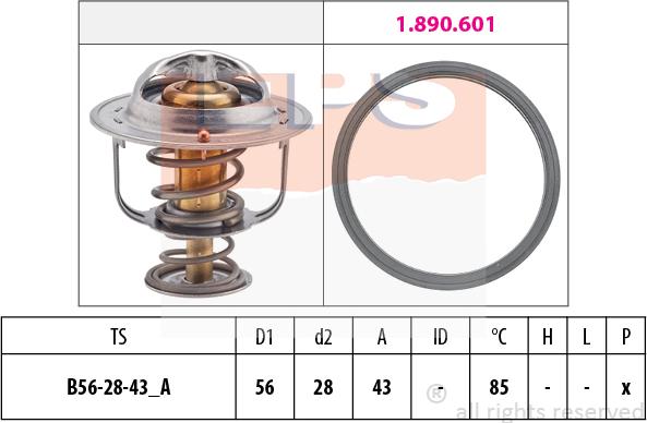 MDR EPS-1880 398 - Thermostat d'eau cwaw.fr