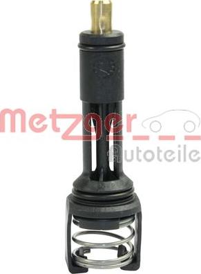 Metzger 4006261 - Thermostat d'eau cwaw.fr