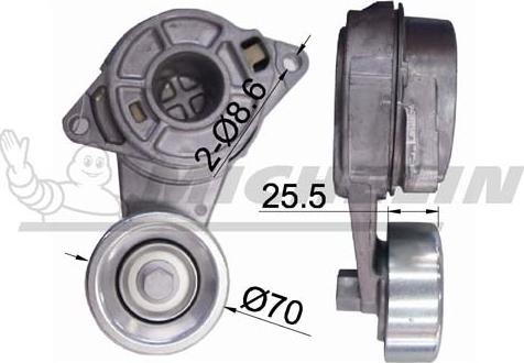 MICHELIN EngineParts SMAMP06312 - Tendeur de courroie, courroie trapézoïdale à nervures cwaw.fr