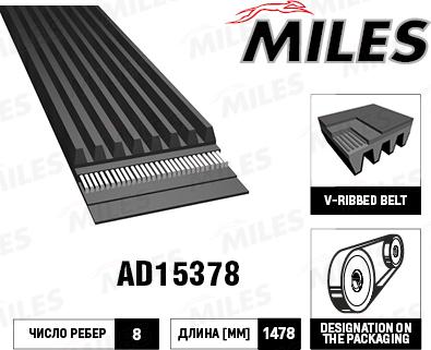 Miles AD15378 - Courroie trapézoïdale à nervures cwaw.fr