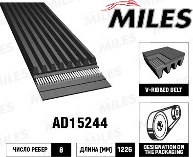 Miles AD15244 - Courroie trapézoïdale à nervures cwaw.fr