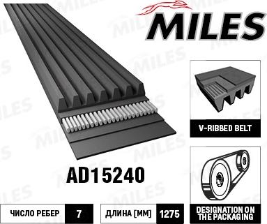 Miles AD15240 - Courroie trapézoïdale à nervures cwaw.fr