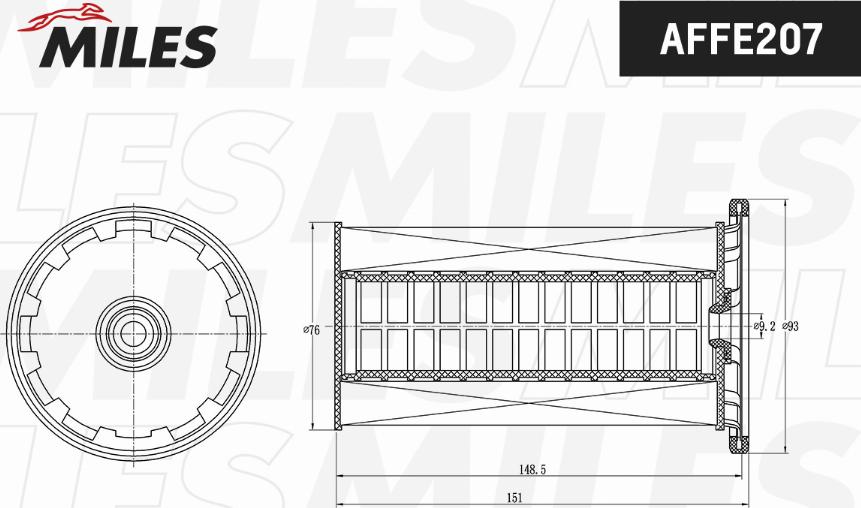 Miles AFFE207 - Filtre à carburant cwaw.fr