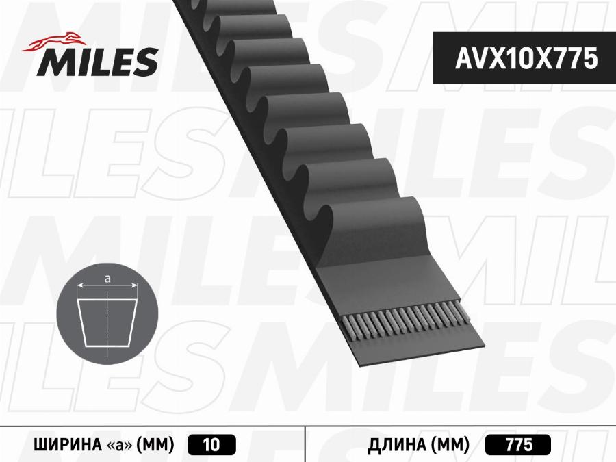 Miles AVX10X775 - Courroie trapézoïdale cwaw.fr