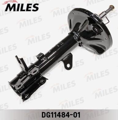 Miles DG11484-01 - Amortisseur cwaw.fr