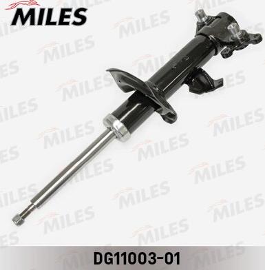 Miles DG11003-01 - Amortisseur cwaw.fr