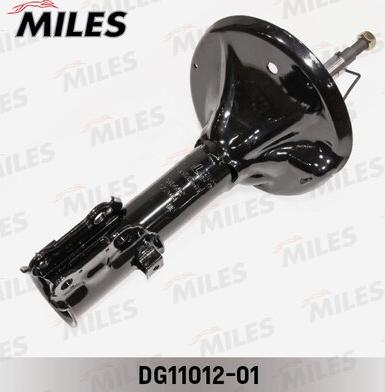 Miles DG11012-01 - Amortisseur cwaw.fr