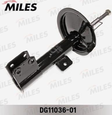 Miles DG11036-01 - Amortisseur cwaw.fr