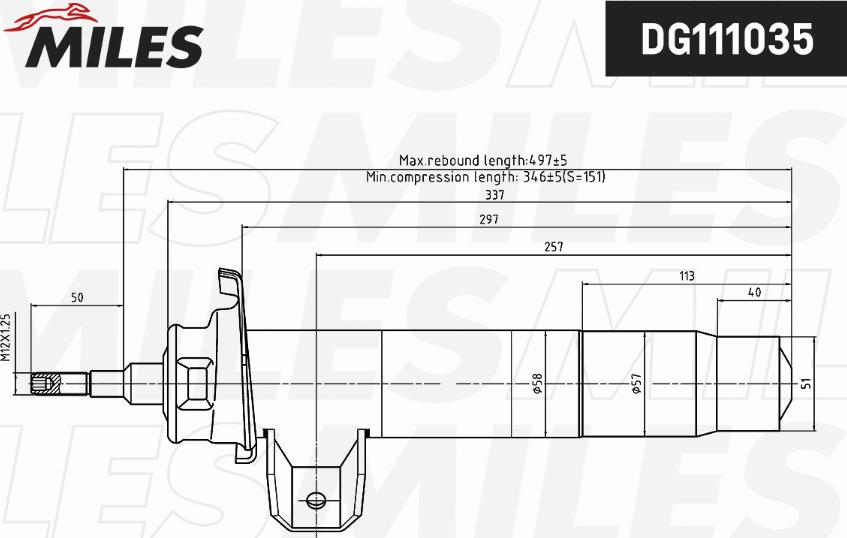 Miles DG111035 - Amortisseur cwaw.fr