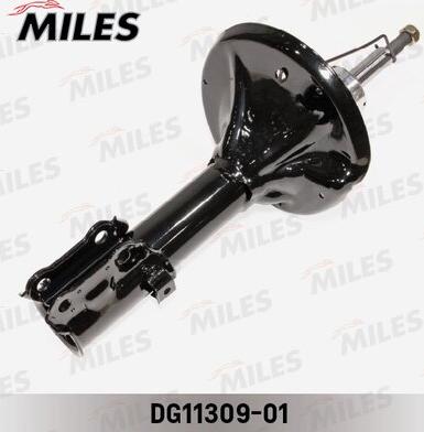 Miles DG11309-01 - Amortisseur cwaw.fr