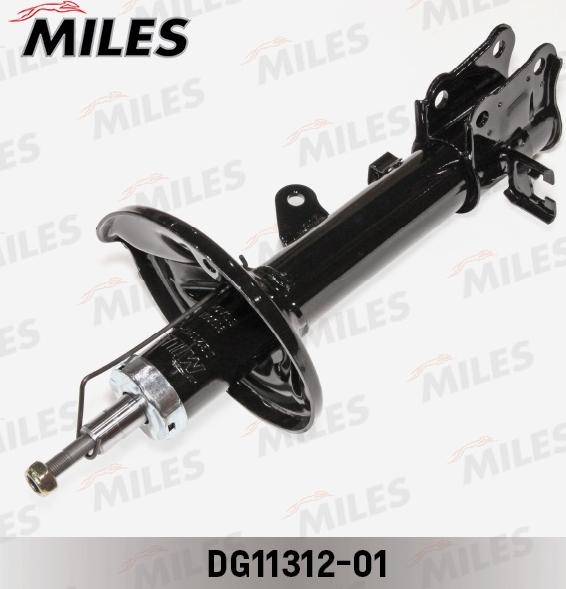 Miles DG11312-01 - Amortisseur cwaw.fr