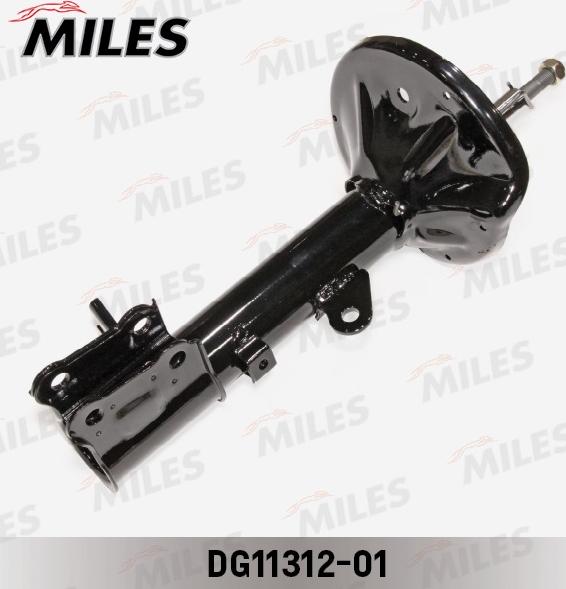 Miles DG11312-01 - Amortisseur cwaw.fr