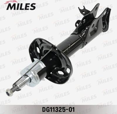 Miles DG11325-01 - Amortisseur cwaw.fr