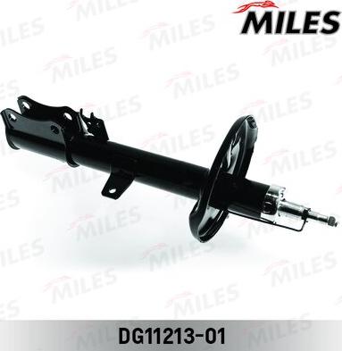 Miles DG11213-01 - Amortisseur cwaw.fr