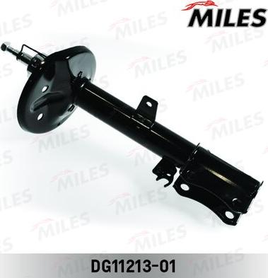 Miles DG11213-01 - Amortisseur cwaw.fr