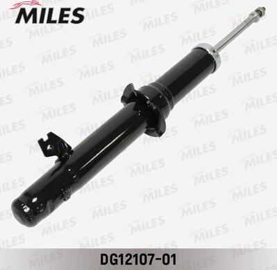 Miles DG12107-01 - Amortisseur cwaw.fr