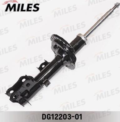 Miles DG12203-01 - Amortisseur cwaw.fr