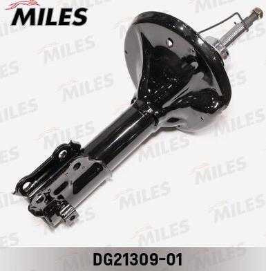 Miles DG21309-01 - Amortisseur cwaw.fr