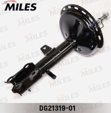 Miles DG21319-01 - Amortisseur cwaw.fr