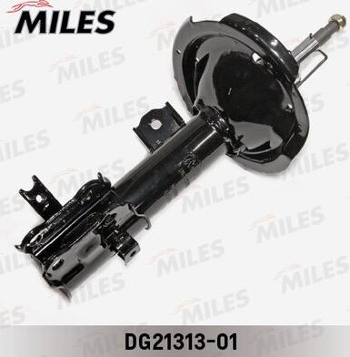 Miles DG21313-01 - Amortisseur cwaw.fr